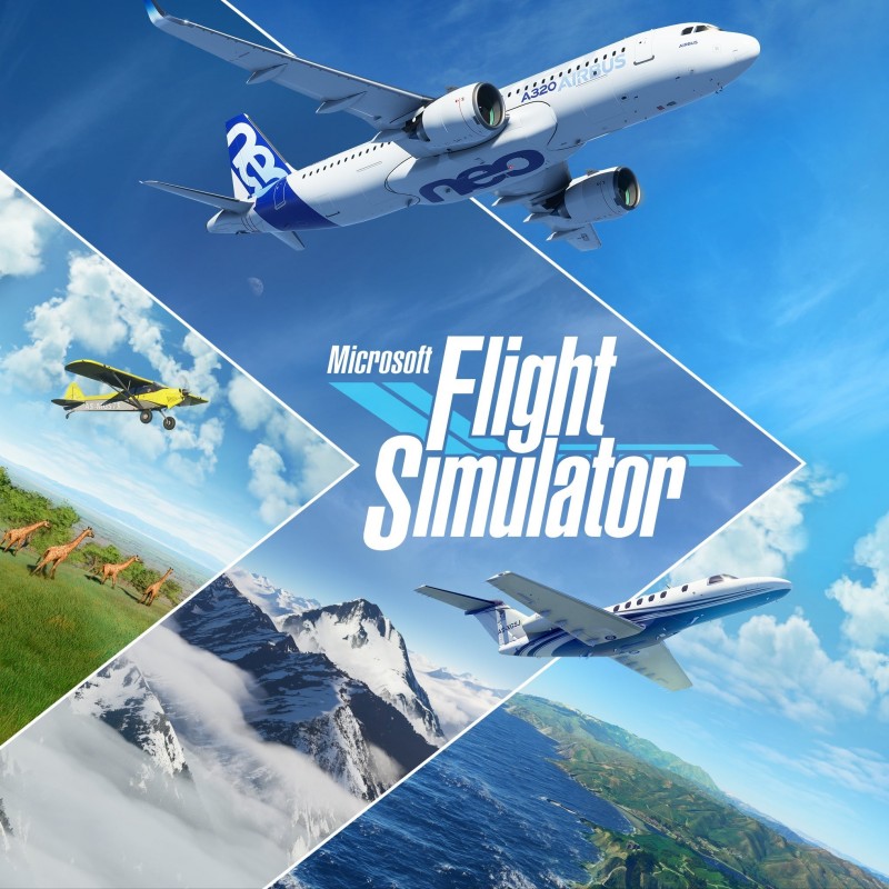 FLIGHT SIMULARTOR 2020 PC